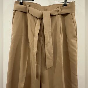Ann Taylor pants. Women's Tan Wide Leg Pants
